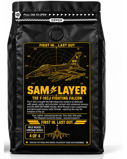 SAM Slayer bag, back: the F-16CJ Fighting Falcon