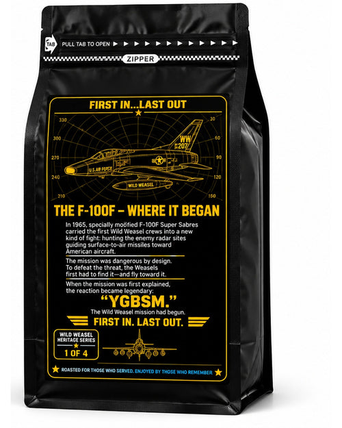 YGBSM bag, back: the F-100F, where it began